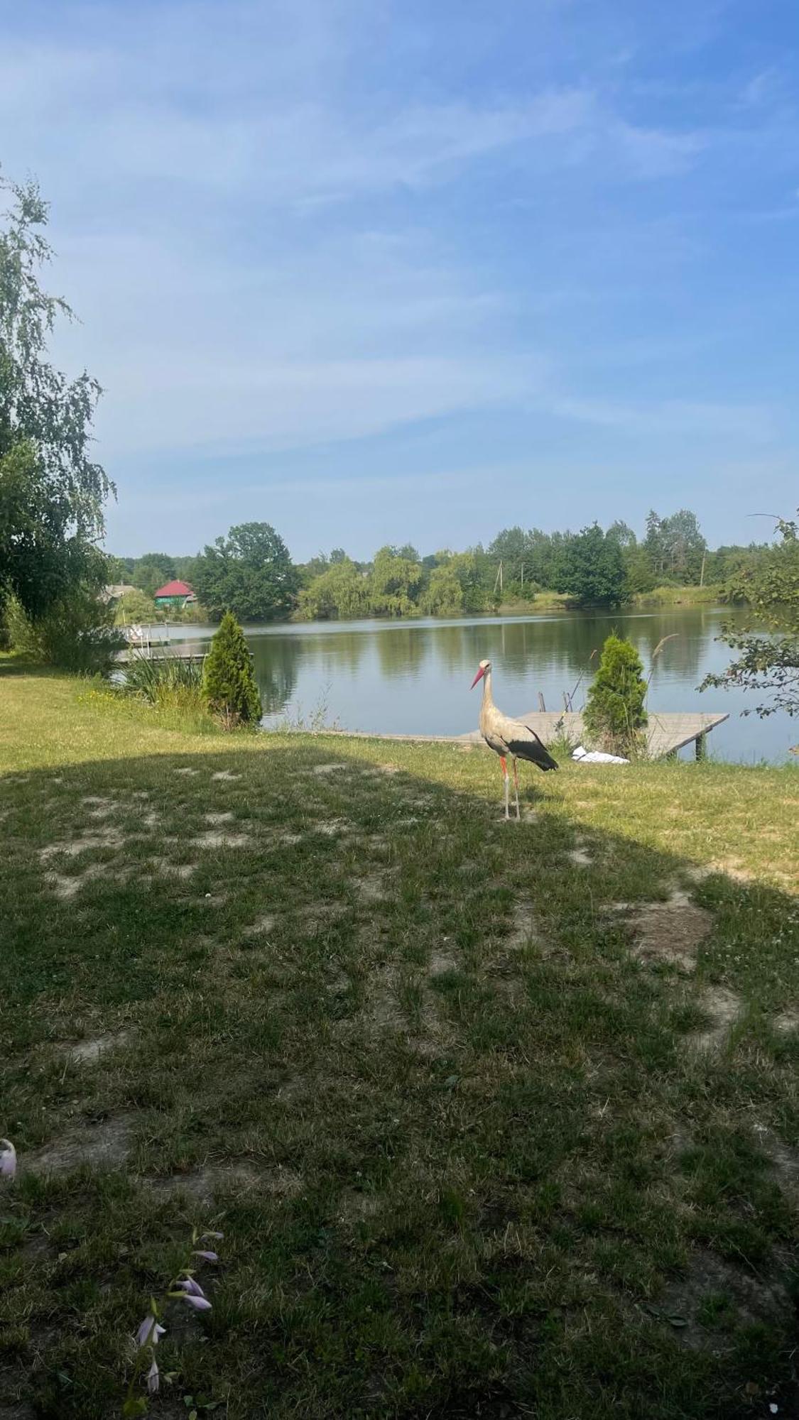 Перлина Буковини Lipovans ภายนอก รูปภาพ